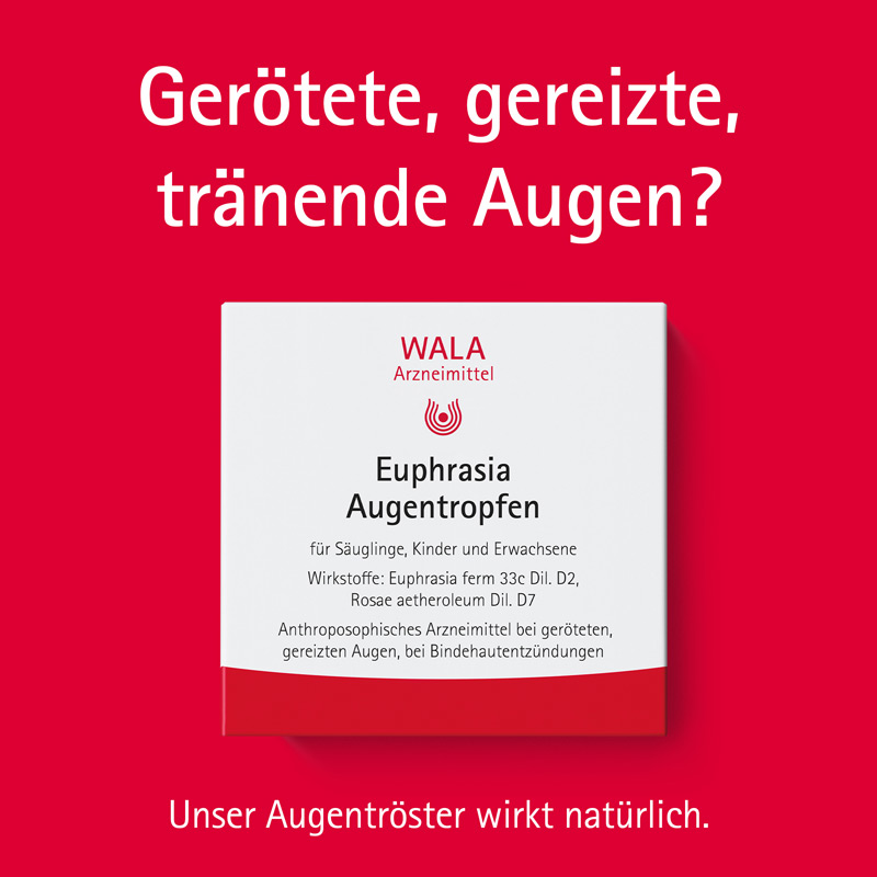 WALA Euphrasia Augentropfen 5X0.5 ml Augentropfen