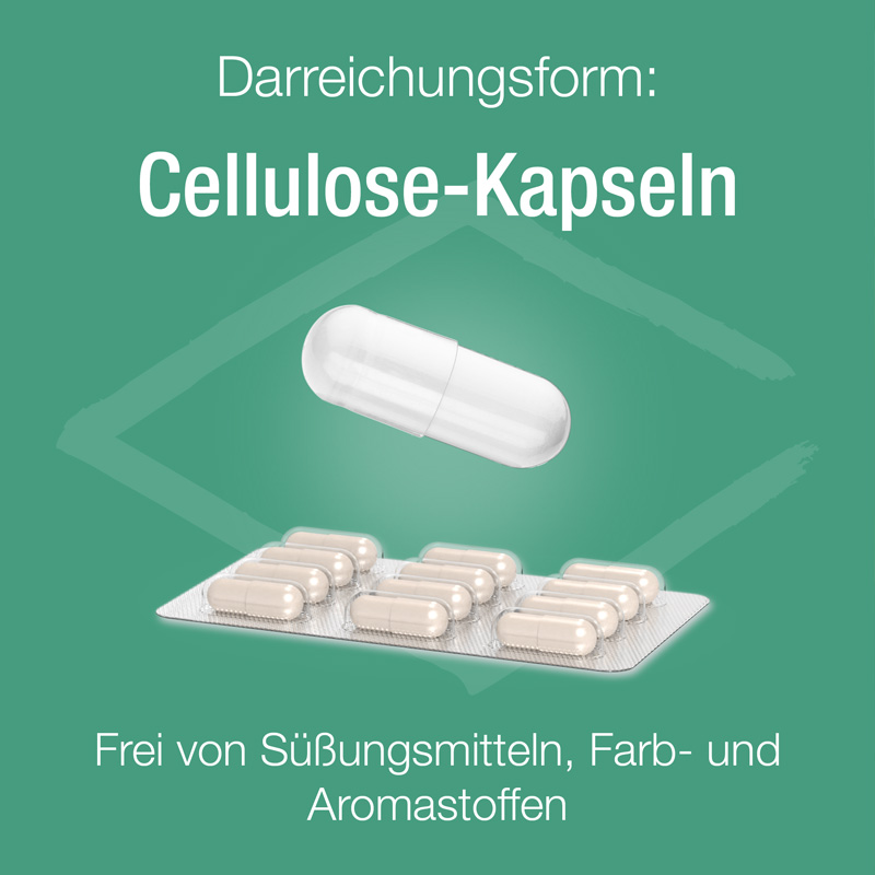 Zink Verla C purKaps 60 St Kapseln