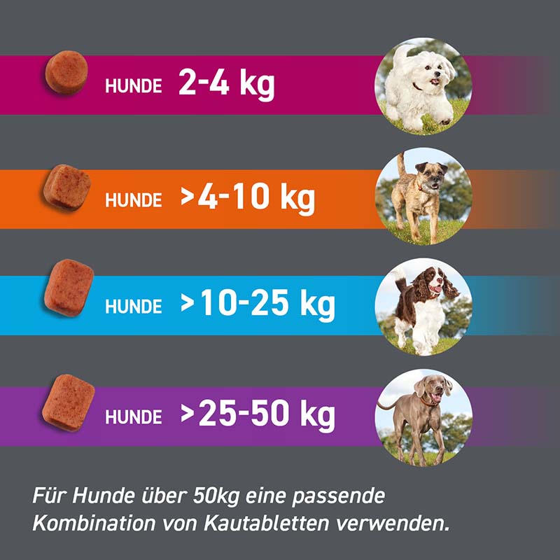 FRONTPRO Kautabletten Hunde 4-10 kg Doppelpack 2X3 St Kautabletten