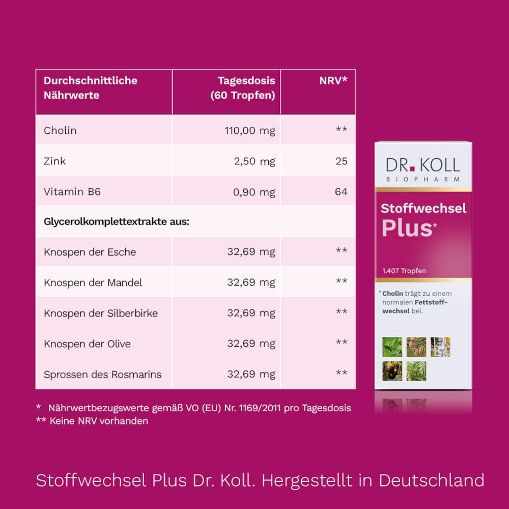 DR. KOLL Stoffwechsel Plus 50 ml Tropfen