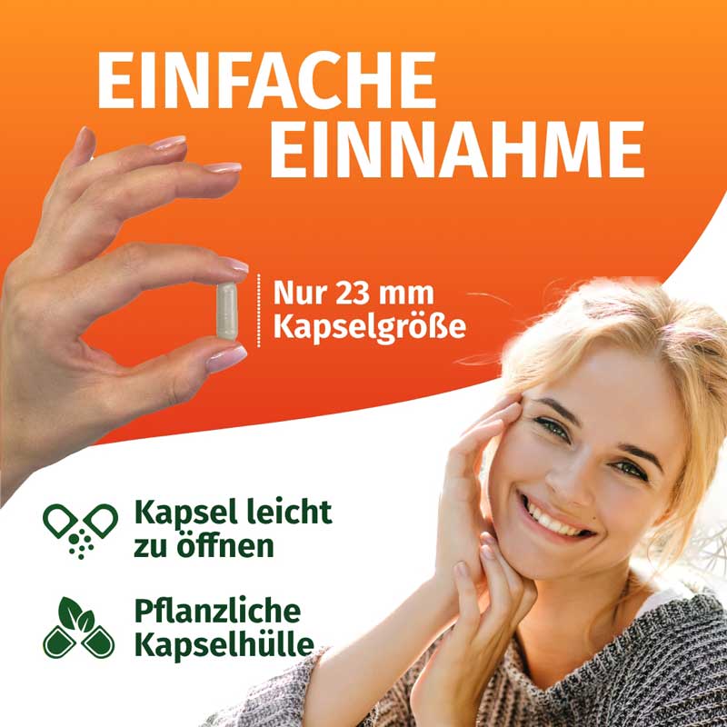 GREEN NATURALS DAO 100 mg 90 St Kapseln