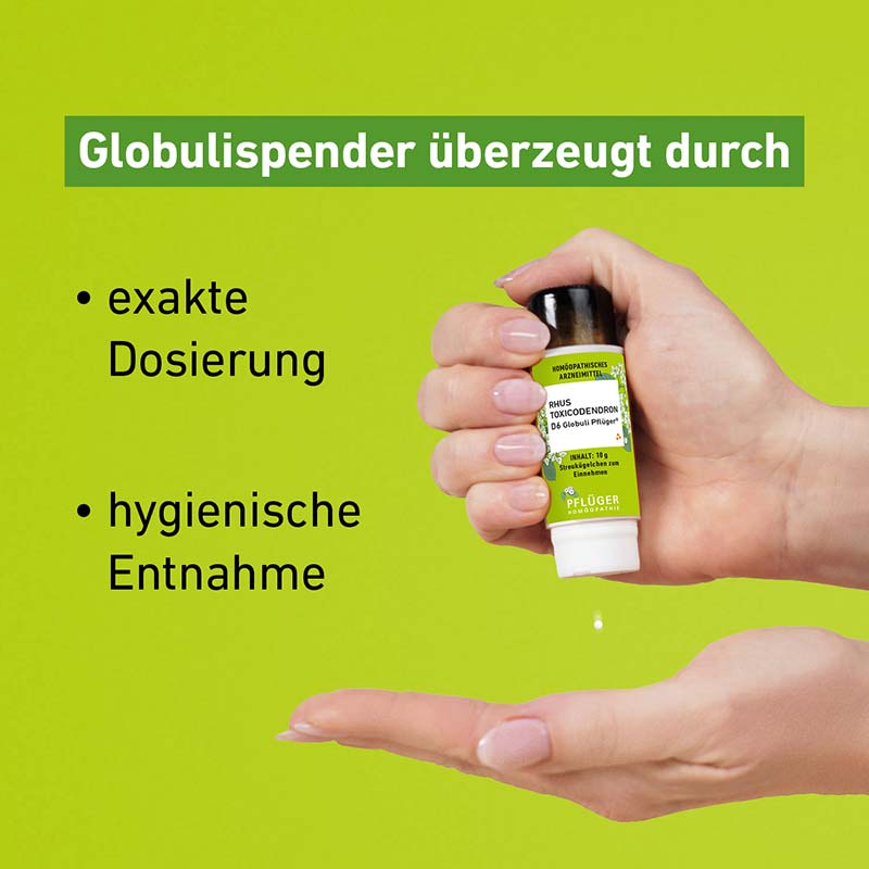 RHUS TOXICODENDRON D6 Globuli Pflüger 10 g Globuli