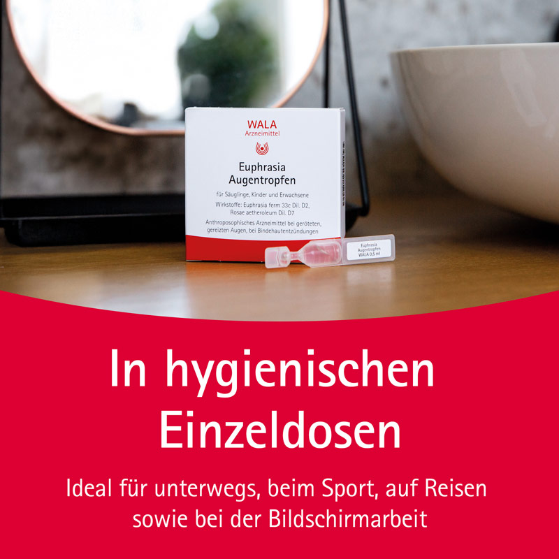 WALA Euphrasia Augentropfen 5X0.5 ml Augentropfen