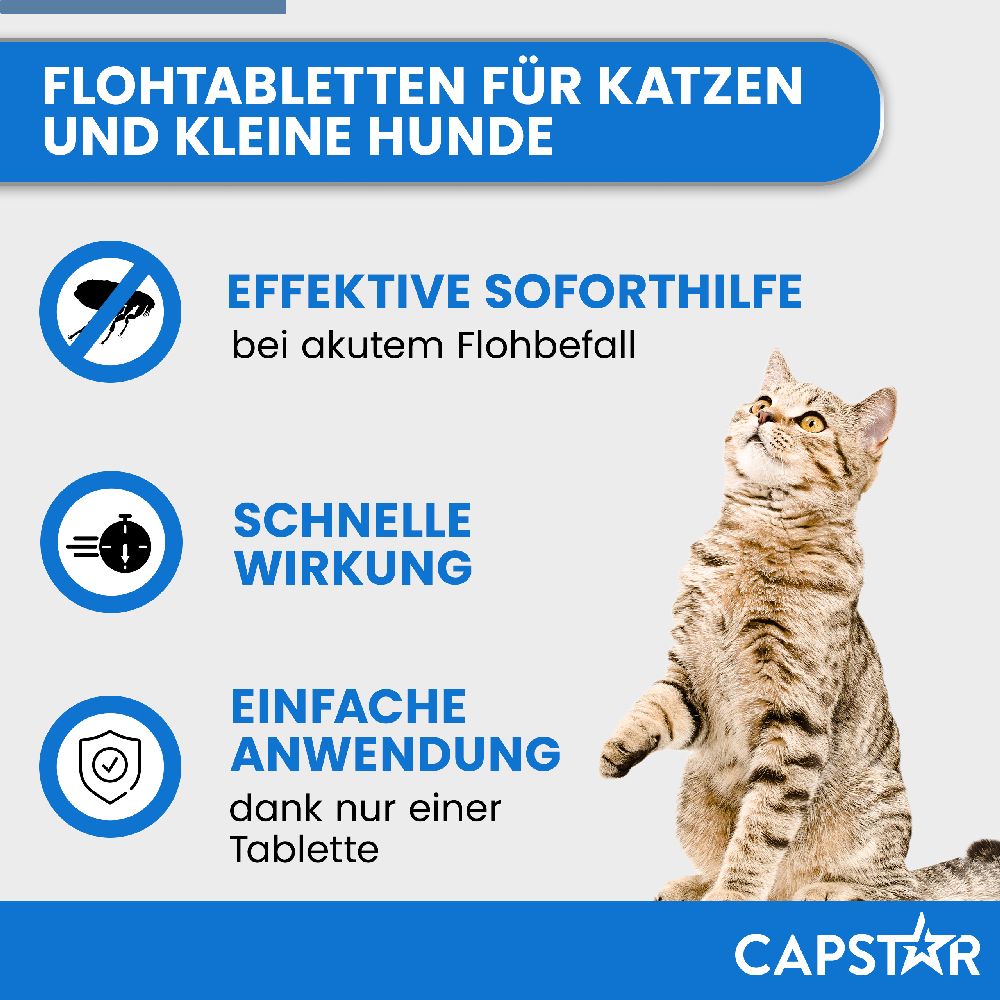 CAPSTAR KATZE + KL. HUND 6 St Tabletten
