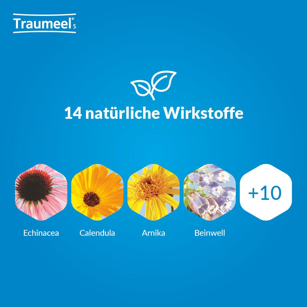 Traumeel S Creme Doppelpack  2X100 g Creme