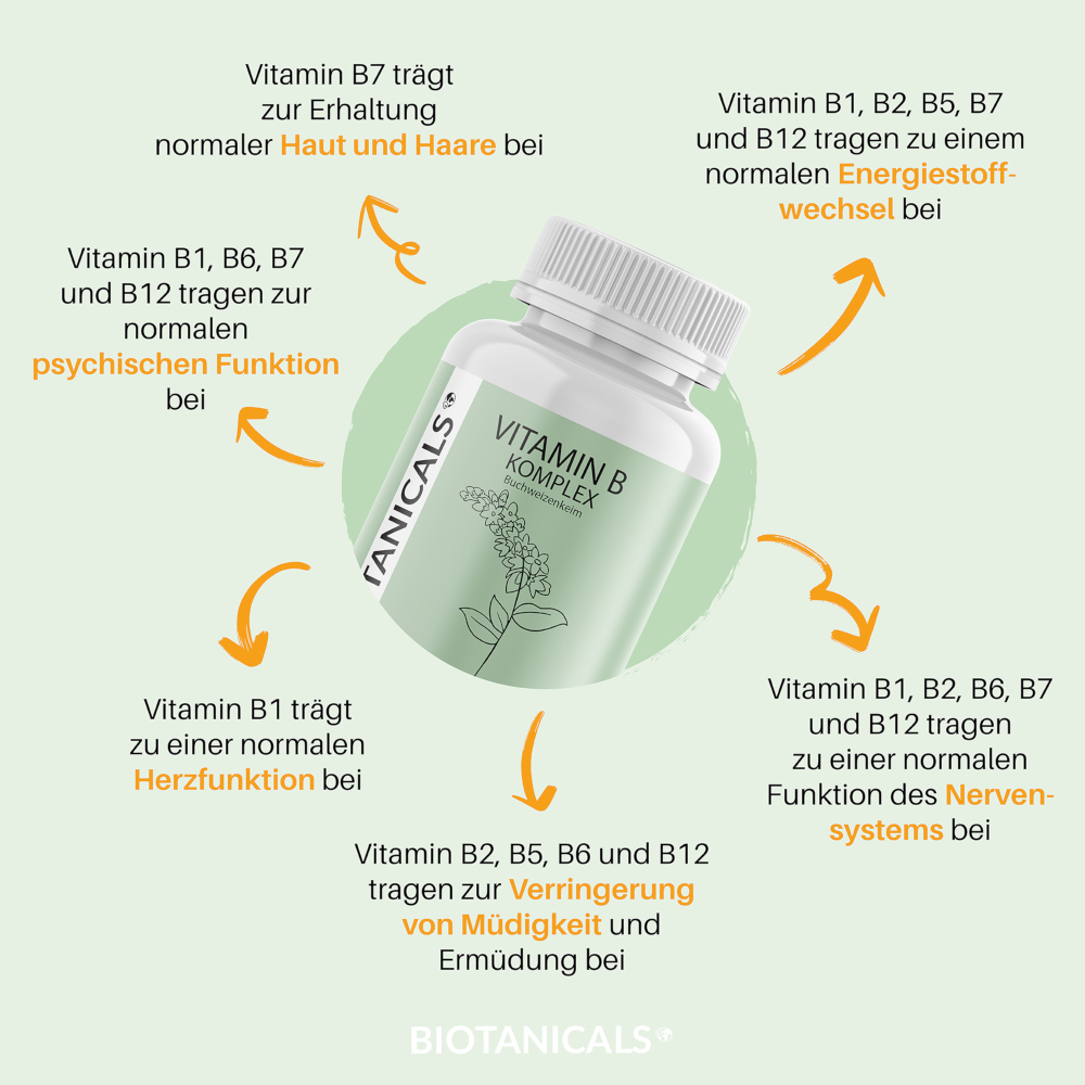 BIOTANICALS VITAMIN B KOMPLEX 90 St Kapseln