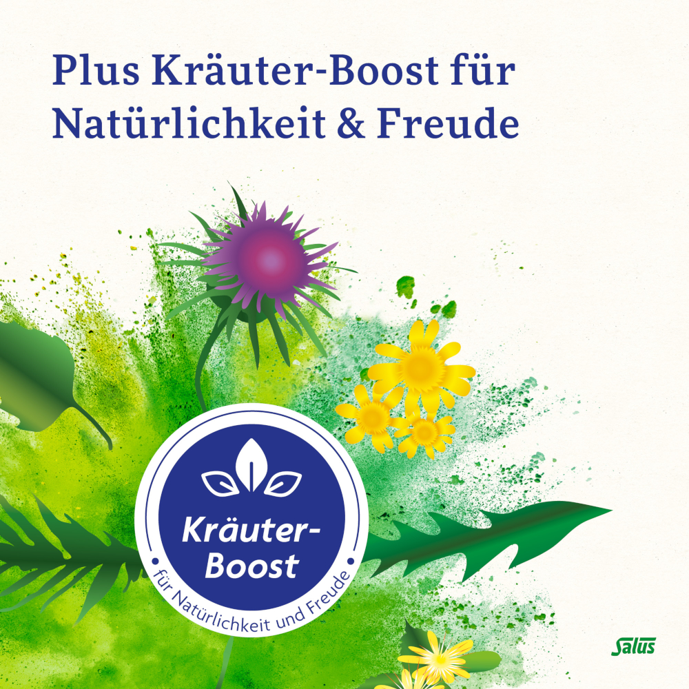 Salus Basen-Aktiv Mineralstoff-Kräuter-Tabletten 100 St Tabletten
