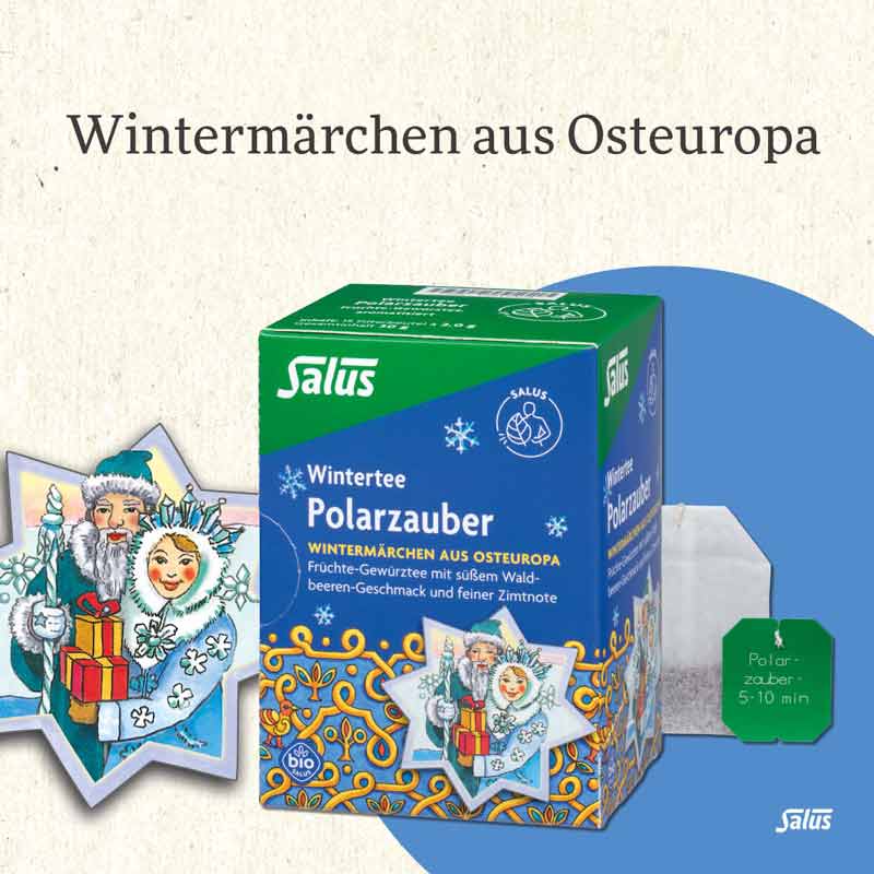 Salus Wintertee Polarzauber 15 St Filterbeutel