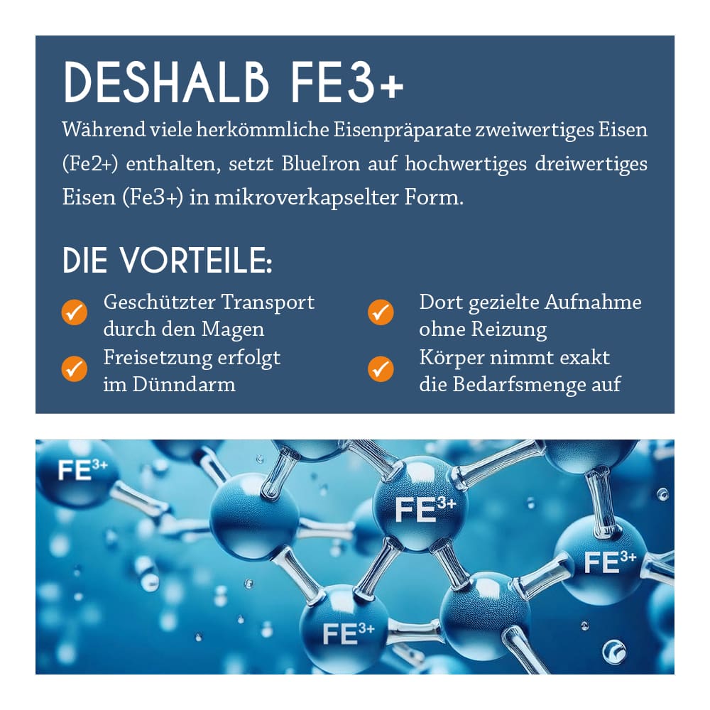 BLUE IRON EISEN PREGNANCY 250 ml Flüssigkeit zum Einnehmen