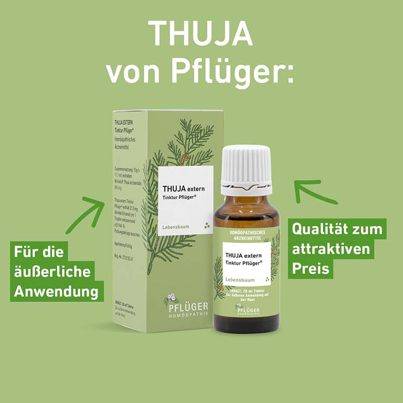Thuja Extern Tinktur Pflüger 20 ml Tinktur