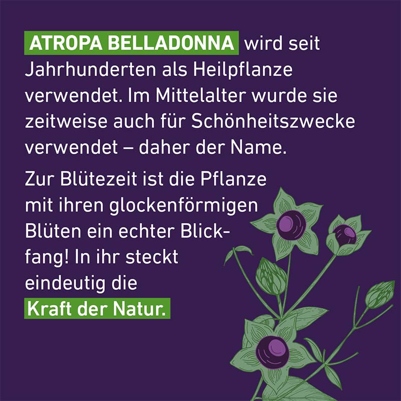 Belladonna D6 Globuli Pflüger 10 g Globuli