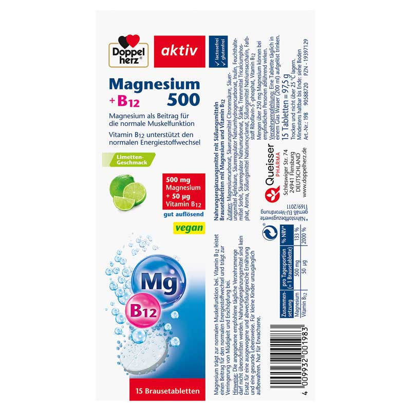 Doppelherz aktiv Magnesium 500 + B12 15 St Brausetabletten