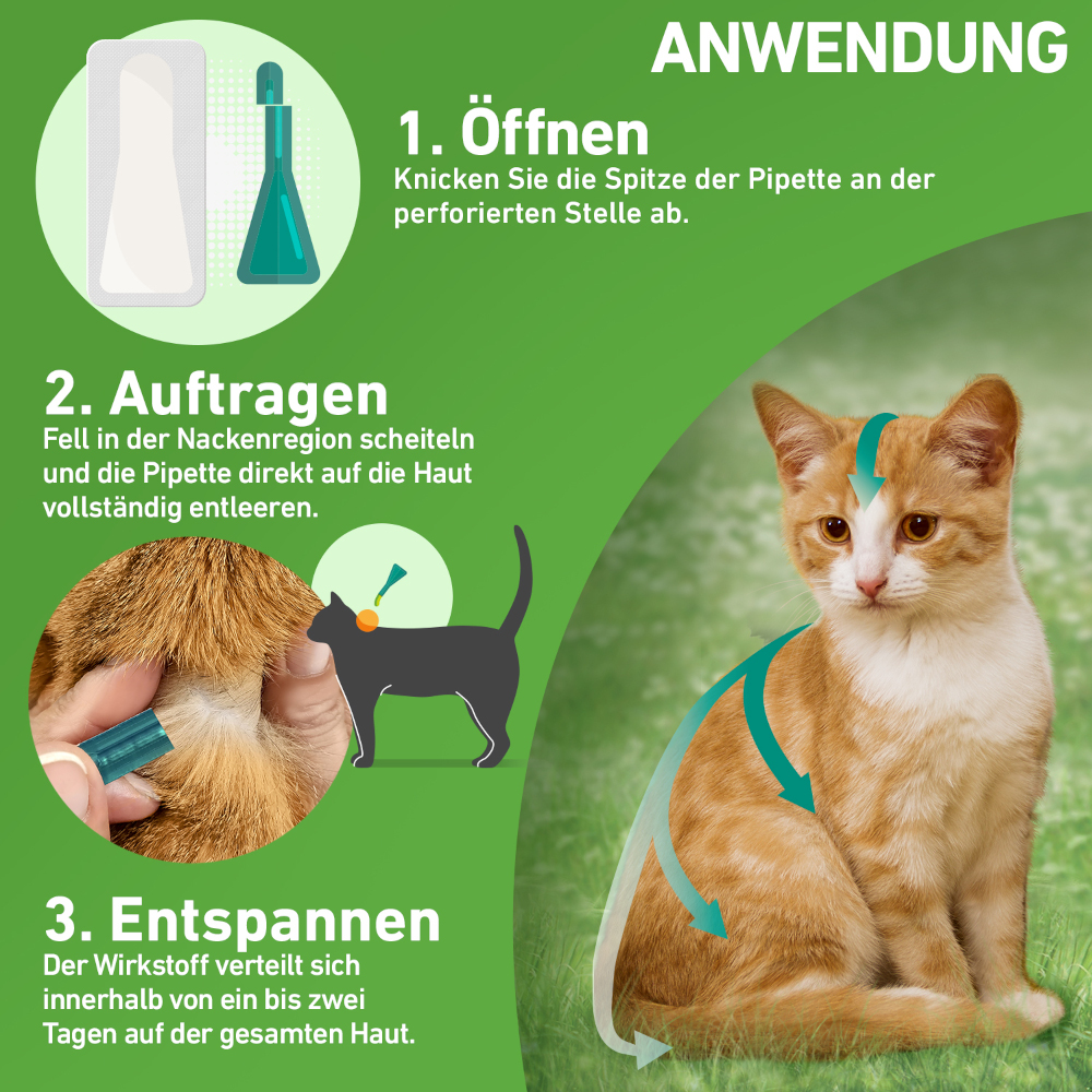 FRONTLINE COMBO 3 Stk. der Kombischutz für Tier und Heim gegen Zecken, Flöhe und Haarlinge bei Katzen und Frettchen 3 St Lösung