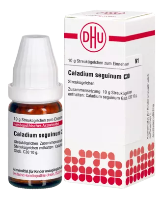 CALADIUM seguinum C 30 Globuli 10 g Globuli