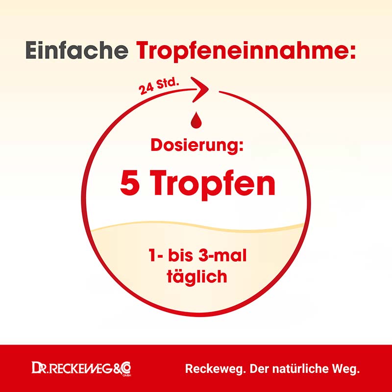 INTERCOSTAL-GASTREU R 69 50 ml Tropfen zum Einnehmen