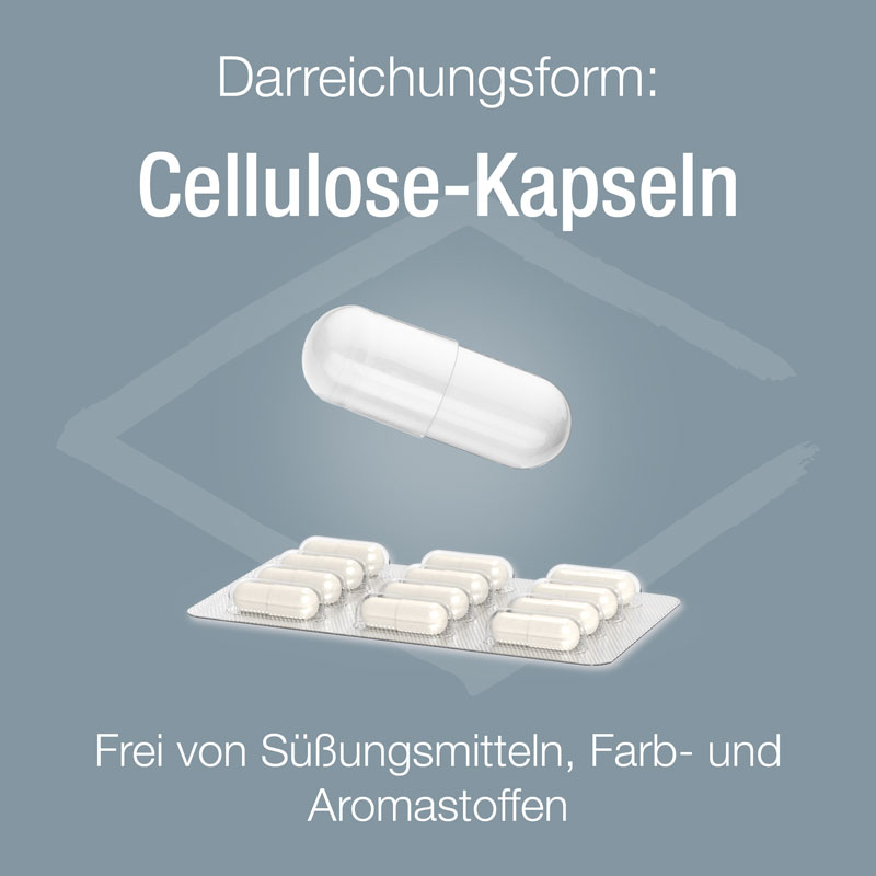 Selen Verla purKaps 60 St Kapseln