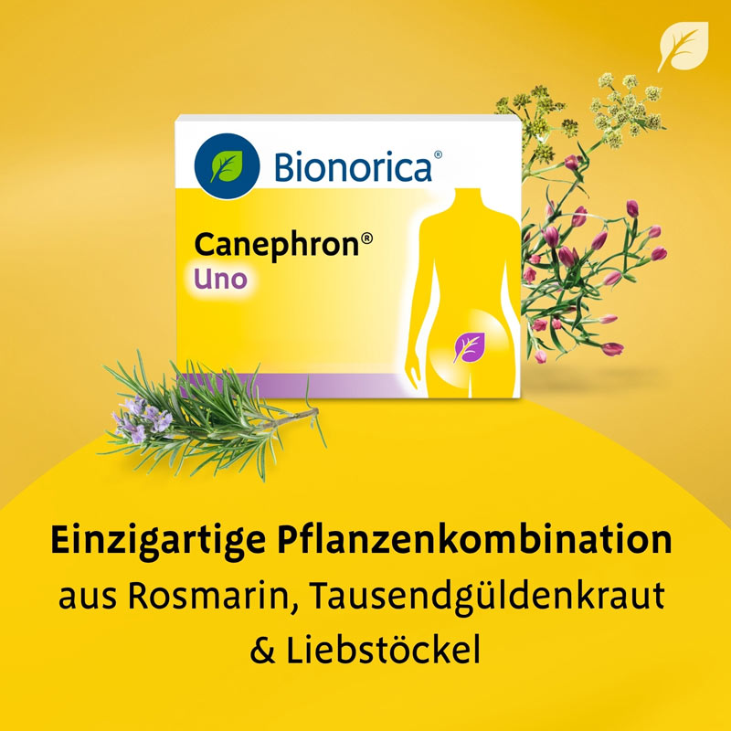 CANEPHRON Uno 60 St Überzogene Tabletten