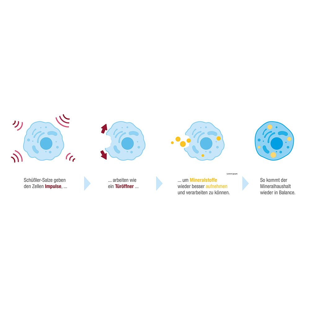 DHU MAGNESIUM P PENTARKAN 80 St Tabletten