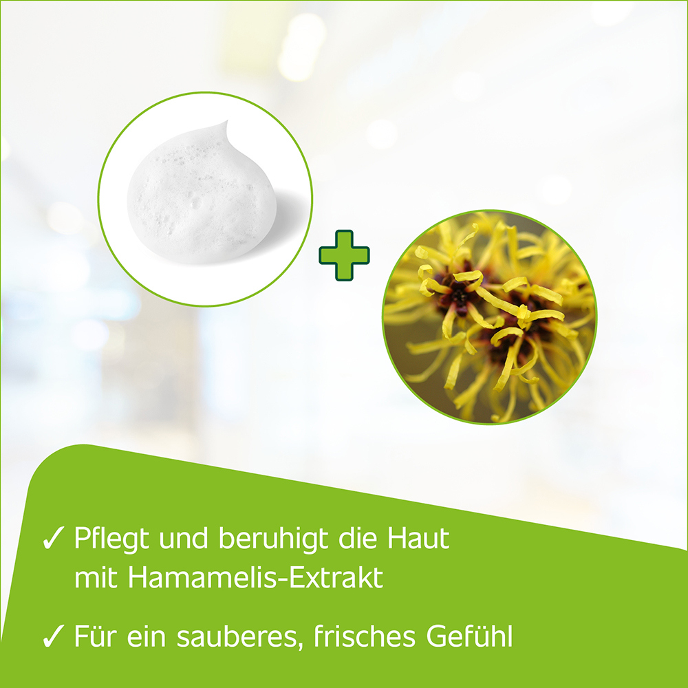 Hametum Medizinischer Reinigungsschaum 100 ml Schaum