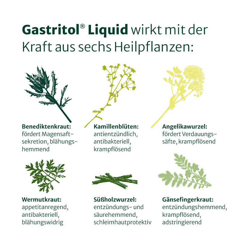 Gastritol Liquid 20 ml Tropfen
