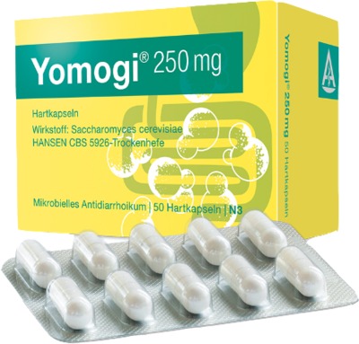 Yomogi 250mg 5 Billionen Zellen 50 St Hartkapseln
