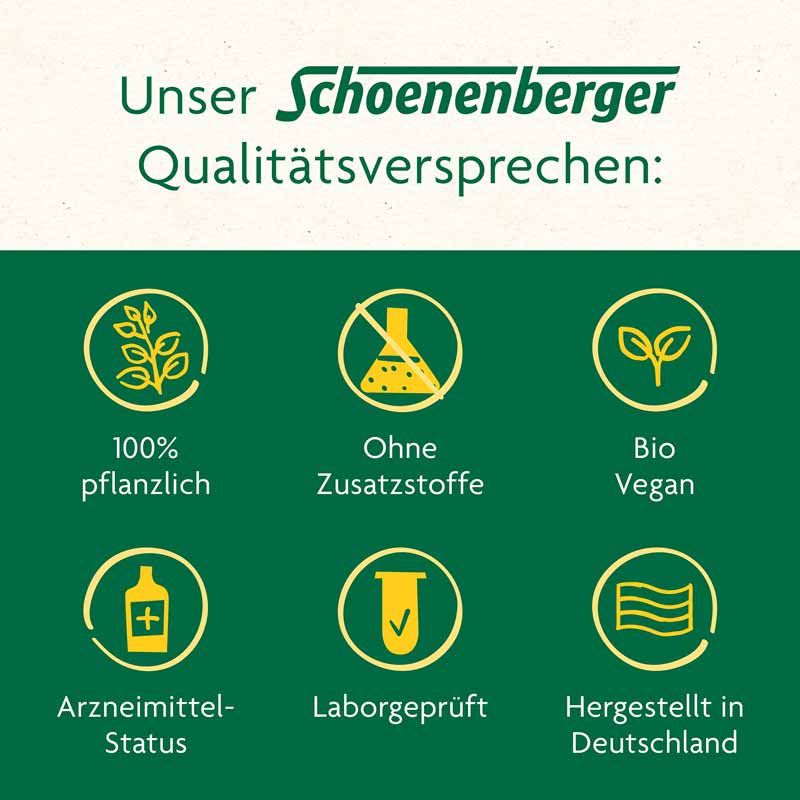 Schoenenberger Birke naturreiner Heilpflanzensaft 3X200 ml Saft