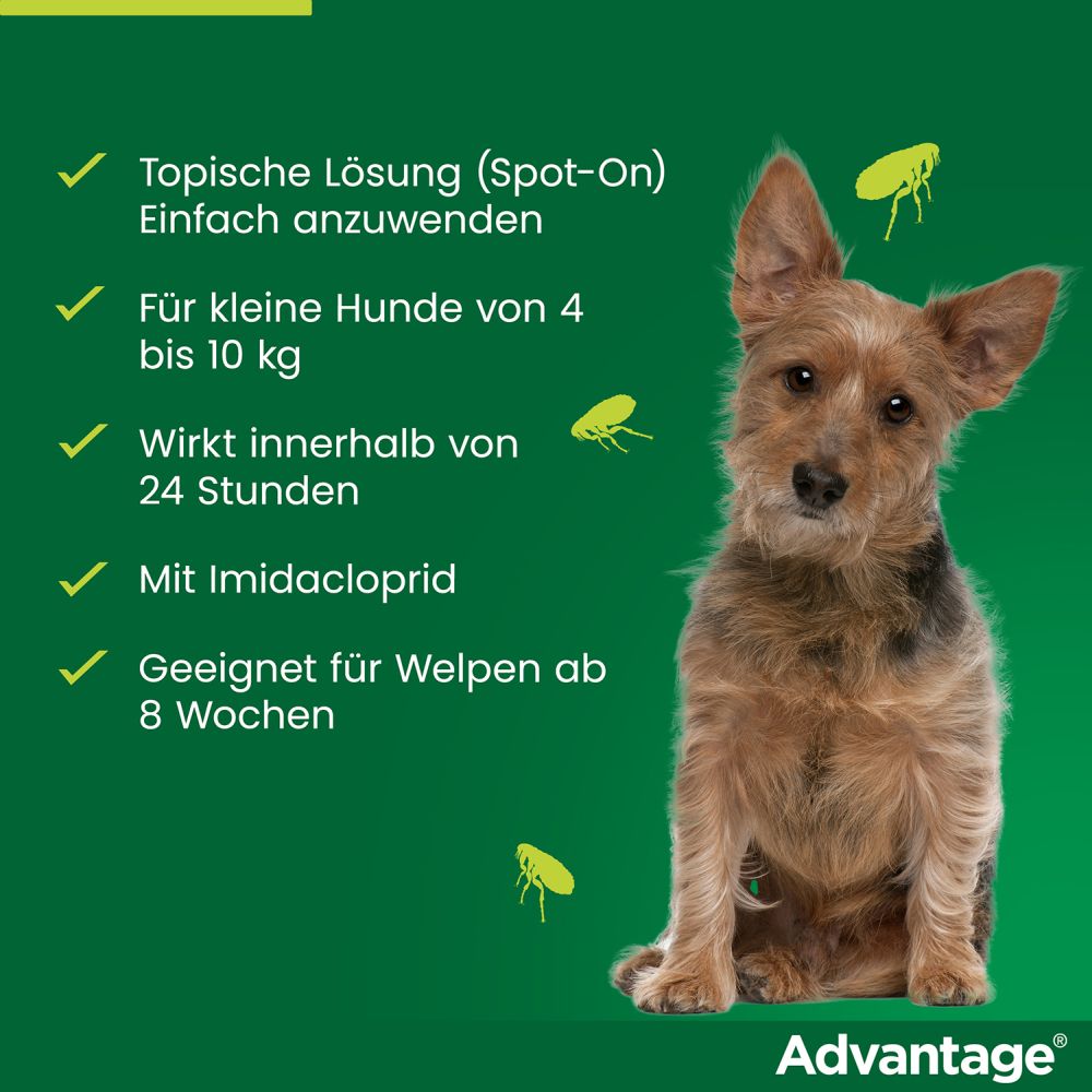ADVANTAGE 100 HUND 4 St Lösung