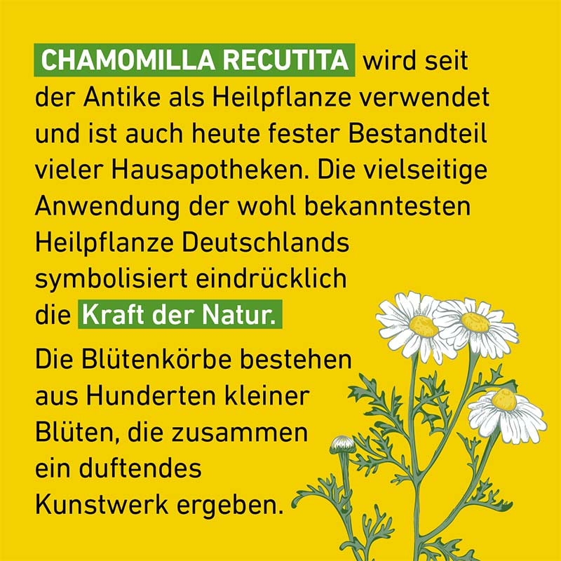 Chamomilla D6 Globuli Pflüger 10 g Globuli