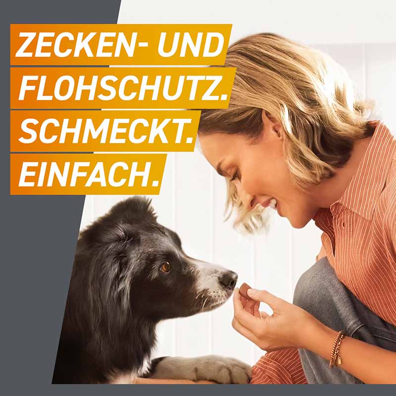 FRONTPRO Kautabletten Hunde >25 - 50 kg Doppelpack 2X3 St Kautabletten