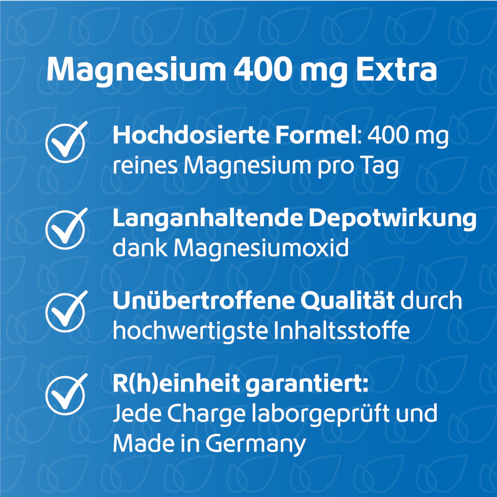 R(h)ein Nutrition Magnesium 400 mg Extra 120 St Kapseln