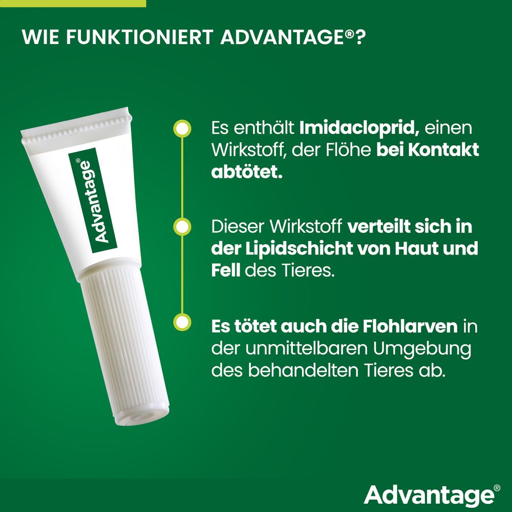 ADVANTAGE 100 HUND 4 St Lösung