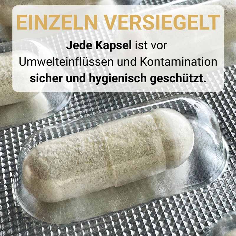 SwissOvit HarmonybiOtic 20 Mrd. Bakterien 30 St Kapseln magensaftresistent