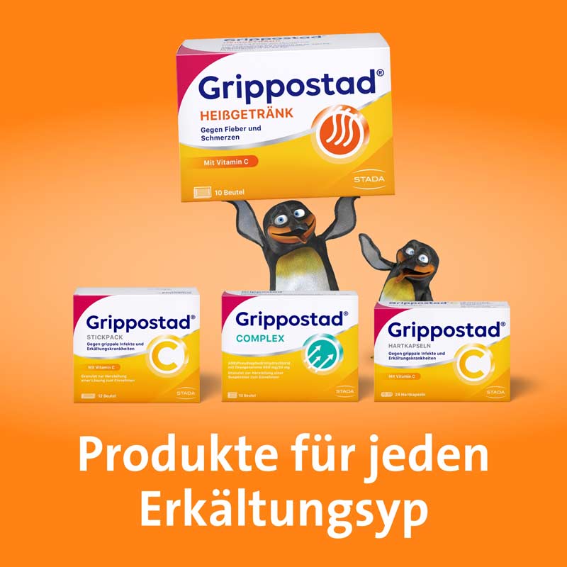 Grippostad HEIßGETRÄNK 10 St Pulver