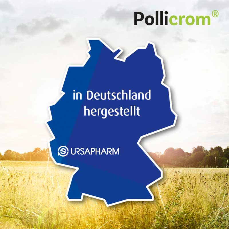 Pollicrom 15 ml Nasenspray