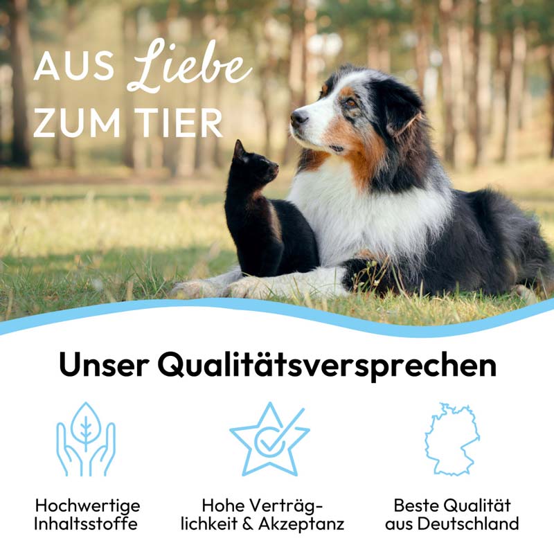 PHA OhrenPflege Tropfen für Hunde 100 ml Tropfen
