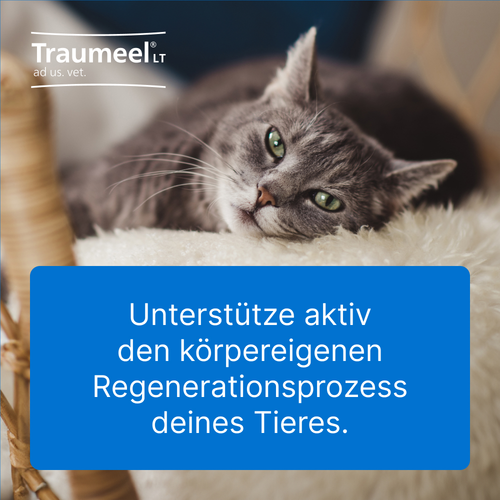 Traumel LT ad us. vet. 500 St Tabletten