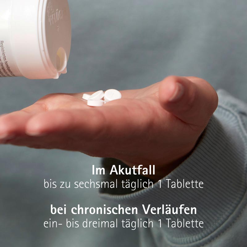 Schüßler-Salz Nr. 2 Calcium phosphoricum D6 4000 St Tabletten