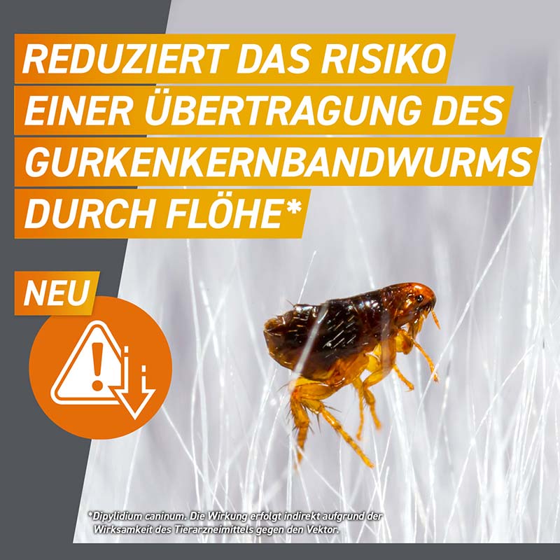 FRONTPRO - gegen Zecken und Flöhe für Hunde (>10-25kg) 3 St Kautabletten