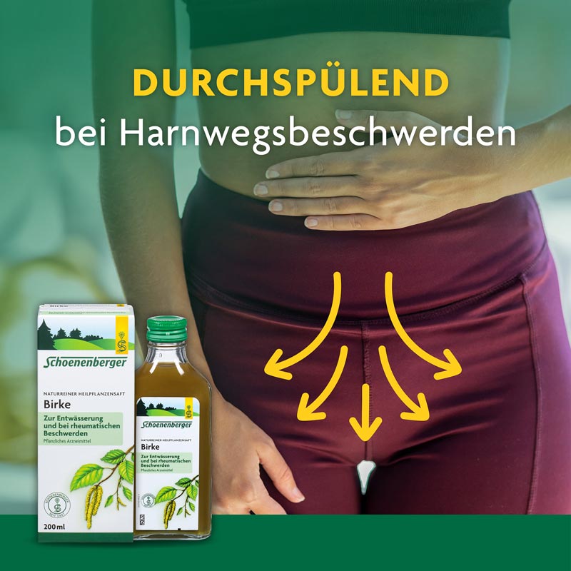 Schoenenberger Naturreiner Heilpflanzensaft Birke 200 ml Saft