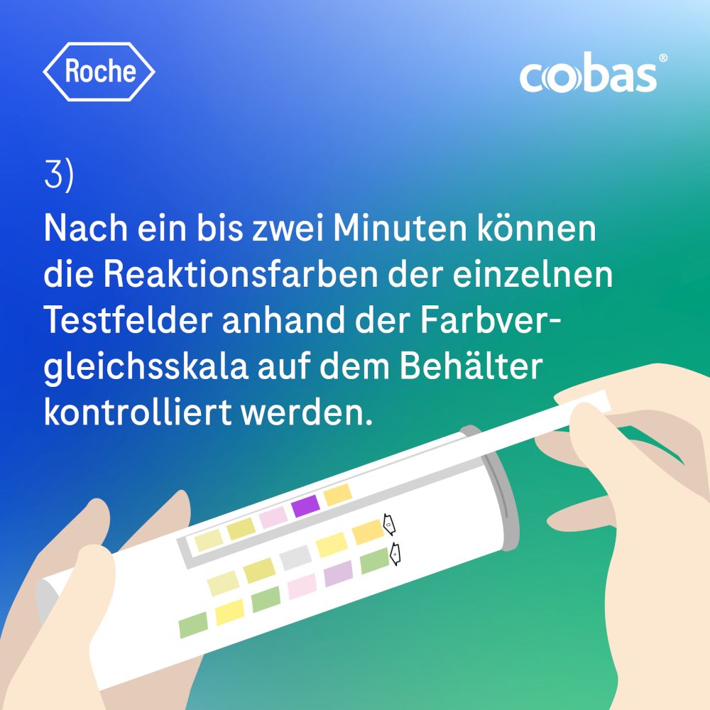 COMBUR 5 Test HC Teststreifen 10 St Teststreifen