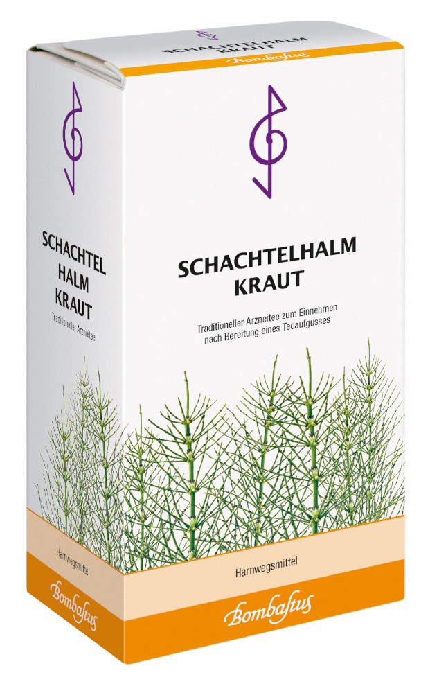 SCHACHTELHALMKRAUT Tee 100 g Tee