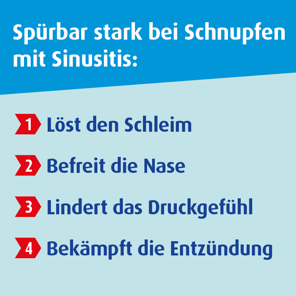 SINOLPAN FORTE 200 mg 21 St Magensaftresistente Weichkapseln
