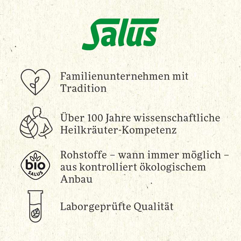 Salus Wintertee Feliz navidad 15 St Filterbeutel