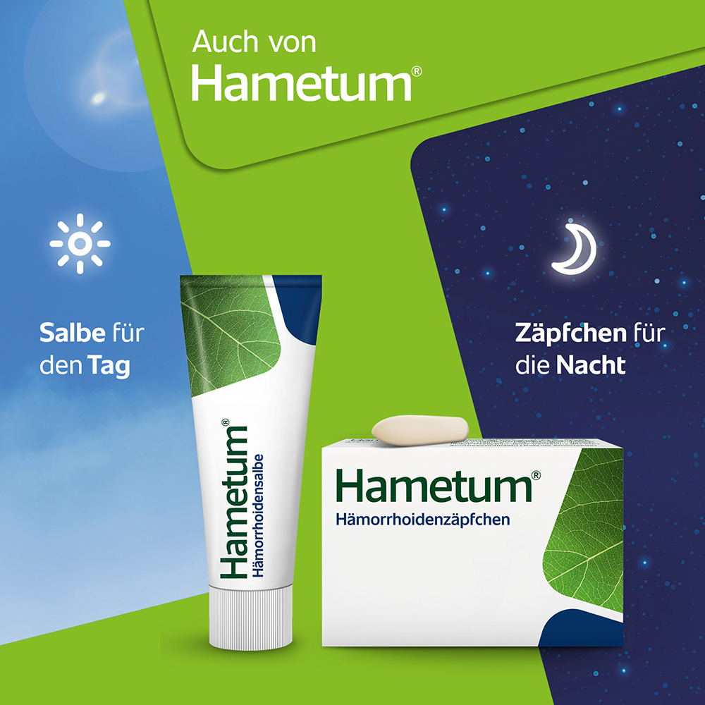 Hametum Medizinischer Reinigungsschaum 100 ml Schaum