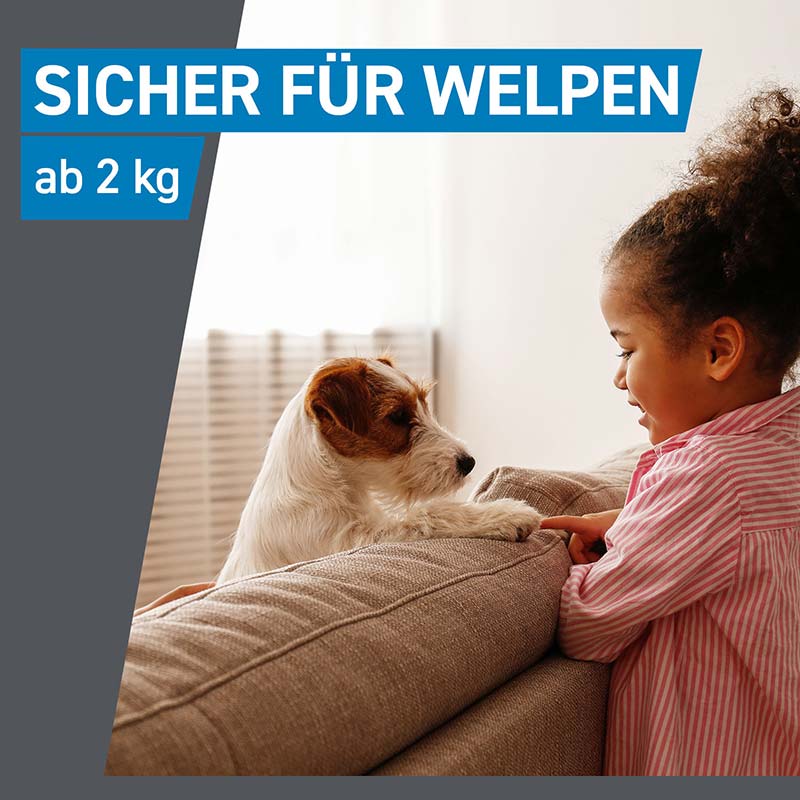 FRONTLINE SPOT-ON gegen Zecken, Flöhe und Haarlinge für Hunde M (10-20 kg) 3 St Lösung