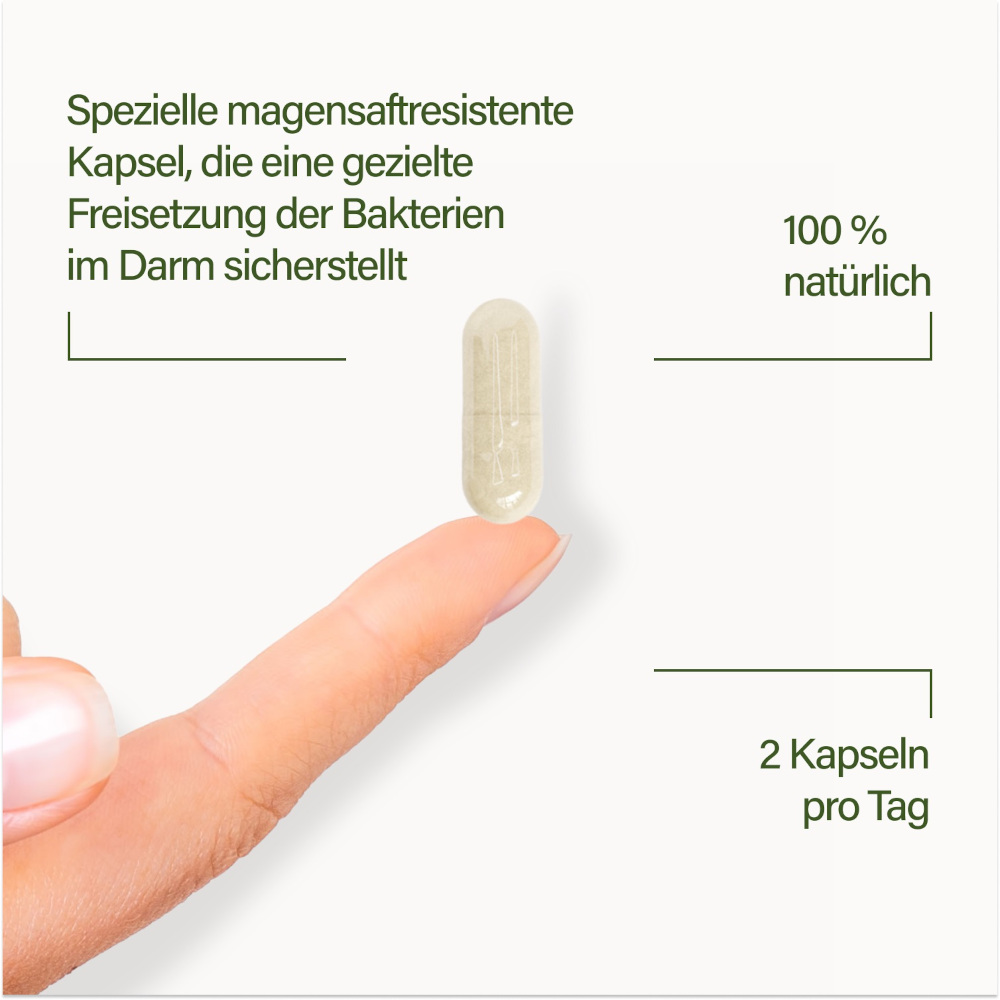 Nupure probaflor Max Spektrum N95 80 St Kapseln magensaftresistent