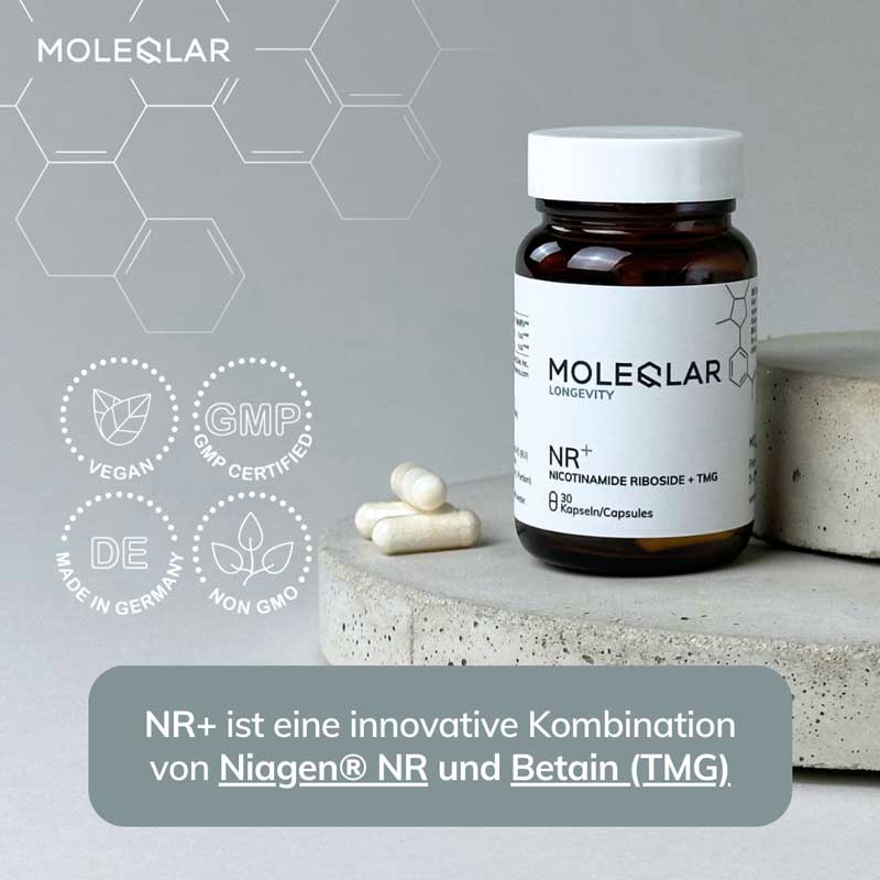 MOLEQLAR NR+ NICOTINAMIDE RIBOSIDE + TMG 30 St Kapseln