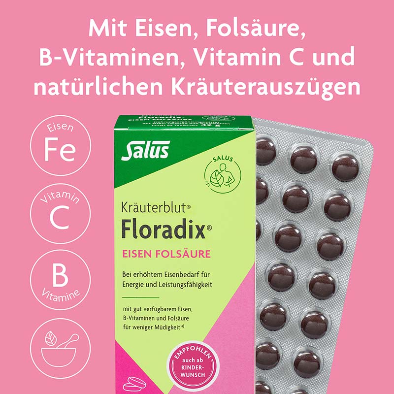 Floradix Eisen Folsäure 84 St Tabletten