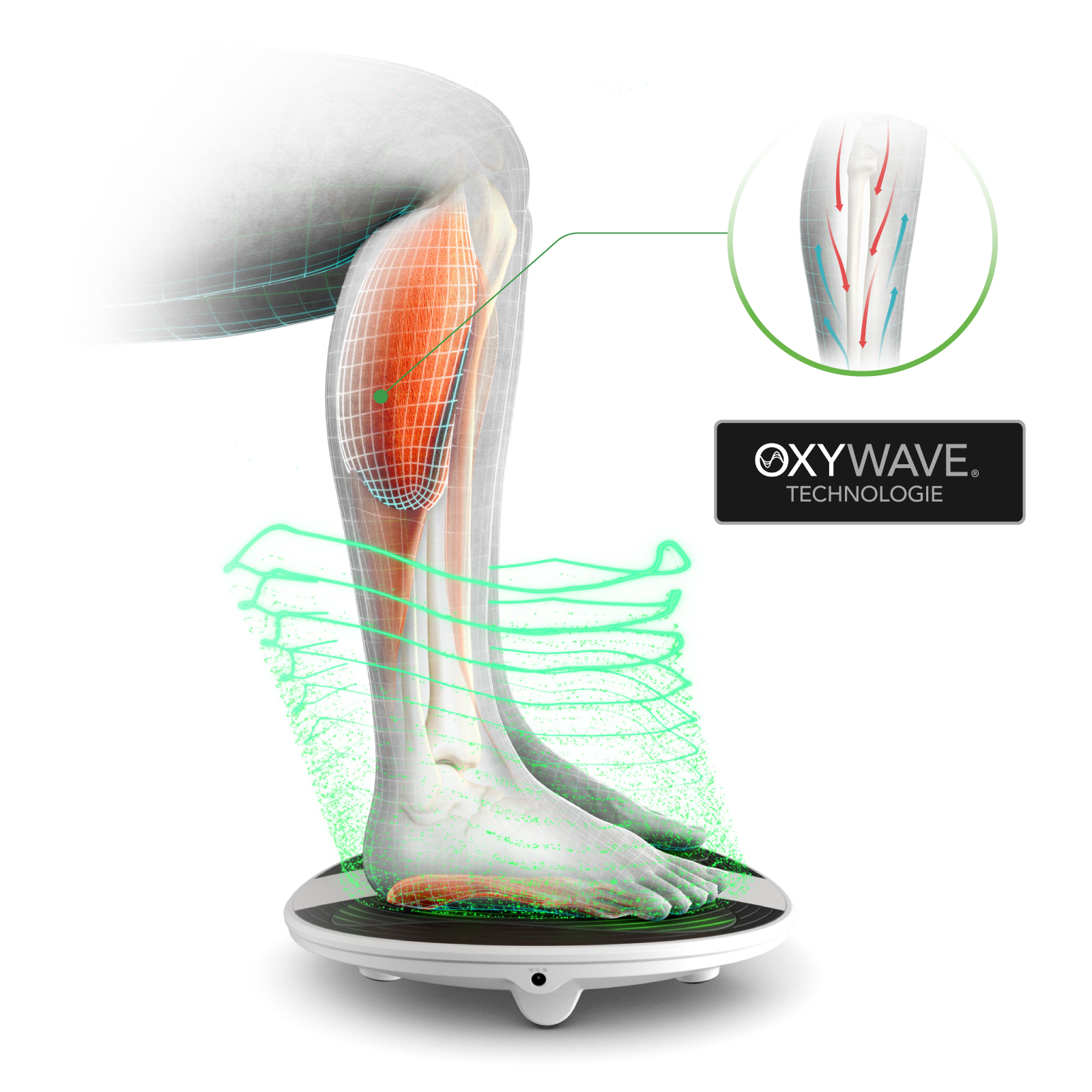 REVITIVE ProHealth Durchblutungs-Stimulator 1 St
