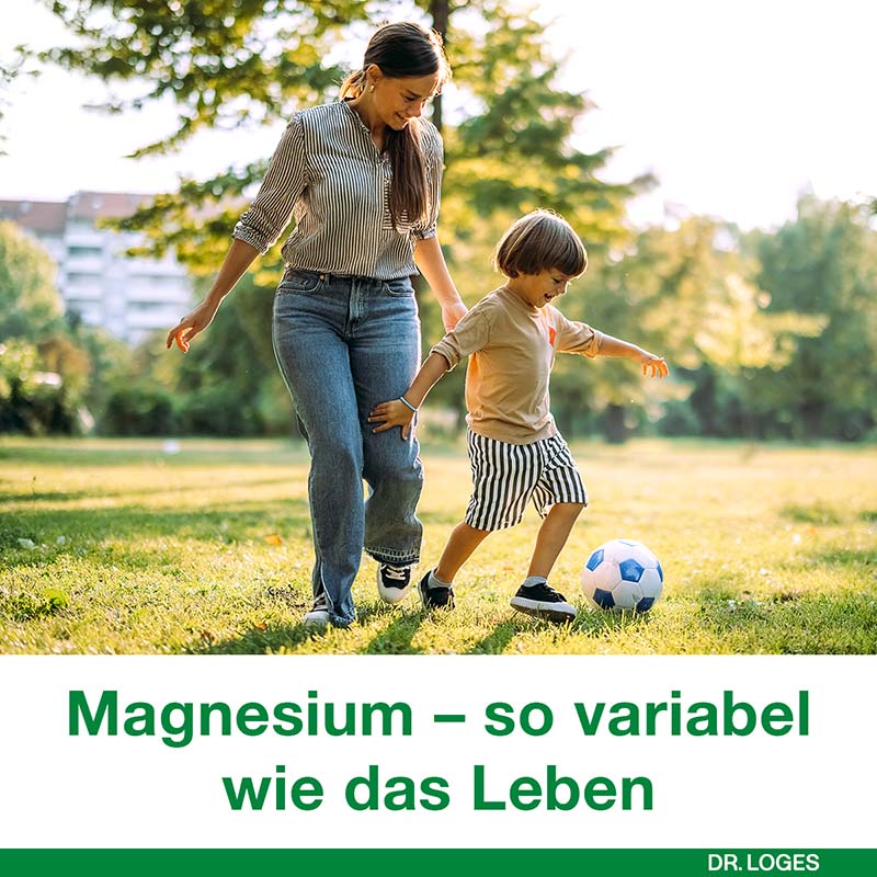 magnesium-Loges vario 100mg 60 St Kapseln